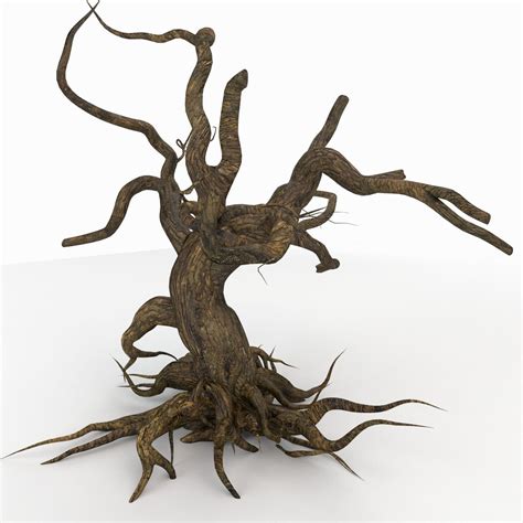Image result for 3D Tree Plus Roots