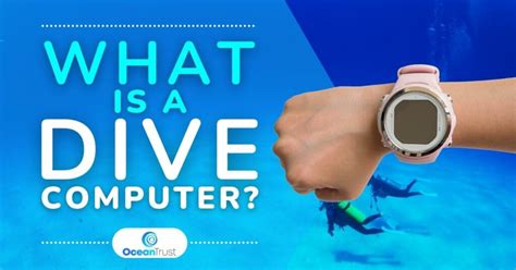 Image result for Dive into Computer System Unit