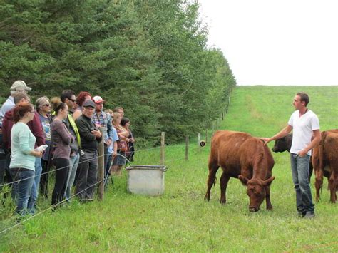 Image result for Gaith Family Farm