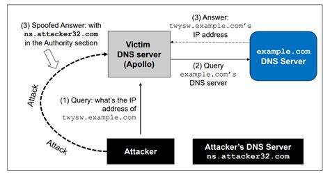 Afbeeldingsresultaten voor Local DNS Attack Lab
