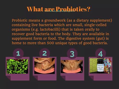 Image result for What Are Probiotics