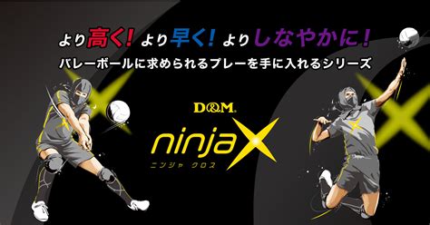 Ninja Jump に対する画像結果