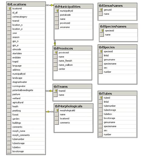 Image result for SQL Server Table Symbol