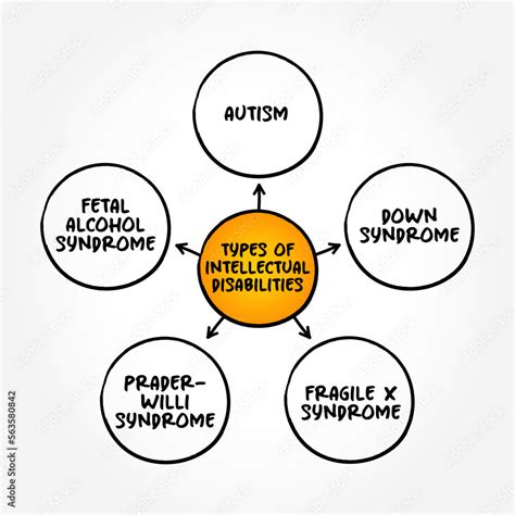 Image result for Different Types of Intellectual Disability