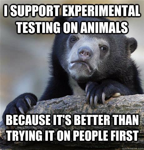 Image result for Exploratory Testing Meme
