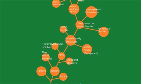 Current Human Evolution Tree に対する画像結果