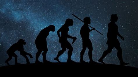 Image result for Evolution Background