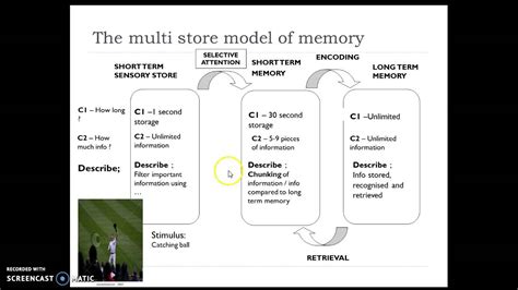 Image result for Multi-Store Model of Memory 3D Project