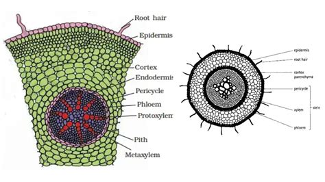 Afbeeldingsresultaten voor Data Classification Life Cycle