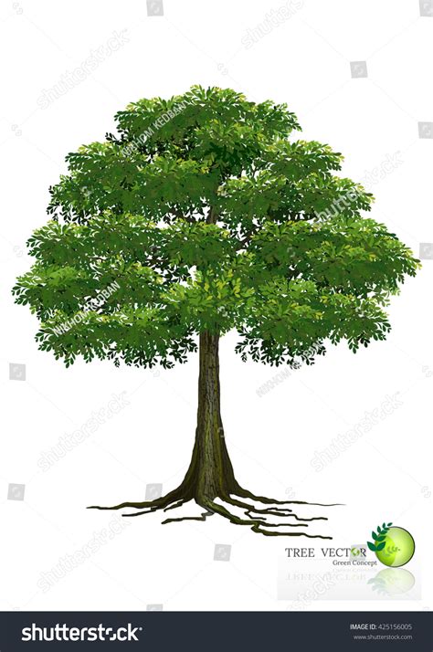 Realistic Tree Vector に対する画像結果