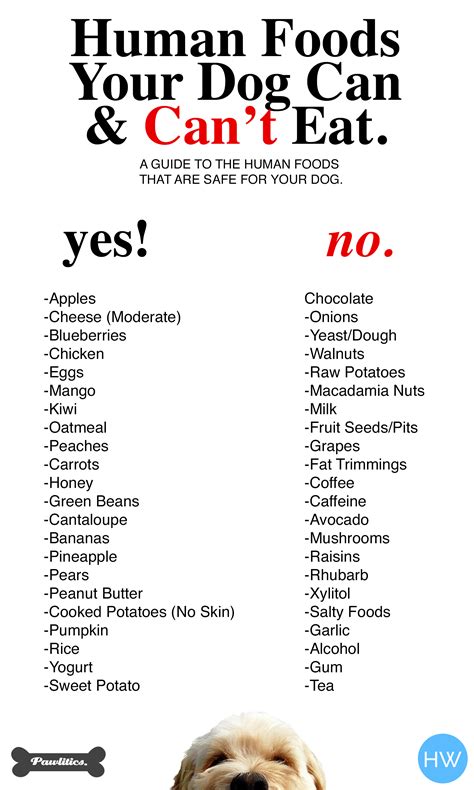 Toradh íomhá ar Human Laxative Safe for Dogs