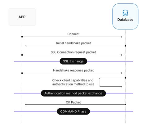 Toradh íomhá ar Connection Pooling Flow Chart