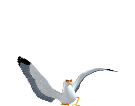Image result for Seagull Flying
