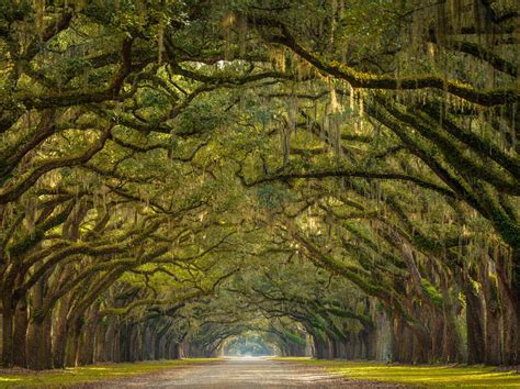 Afbeeldingsresultaten voor What Are the License Classes