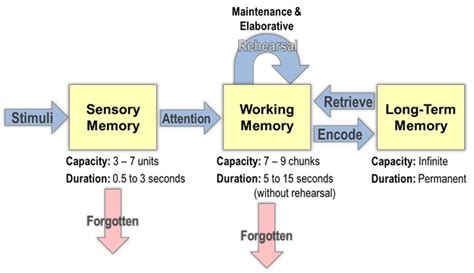 Image result for The Memory Process