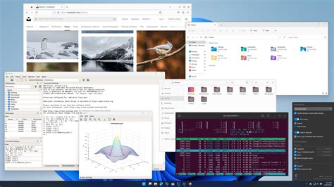 Toradh íomhá ar Windows GUI On Ubuntu