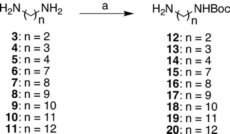 N2F2 Lewis Structure 的图像结果