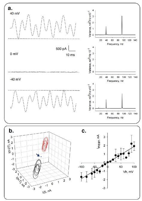 Toradh íomhá ar Electrical Oscillations