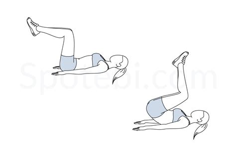 Image result for Image of Butterfly Reverse Crunch Exercise