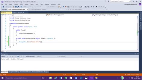 Image result for Visual Studio Form Application