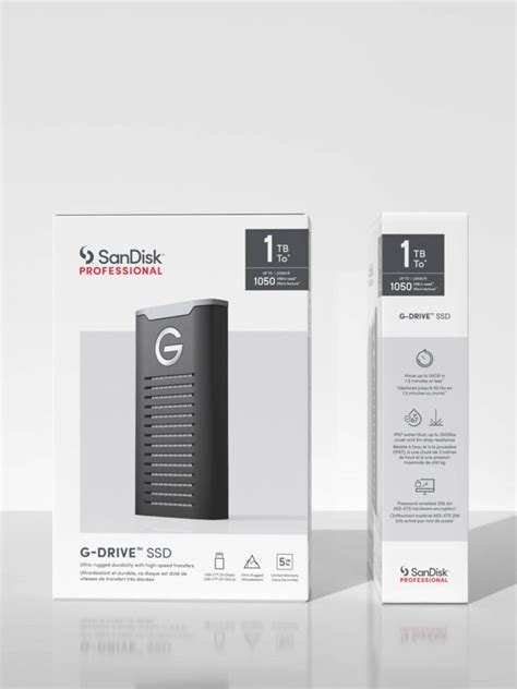 Image result for SanDisk Professional