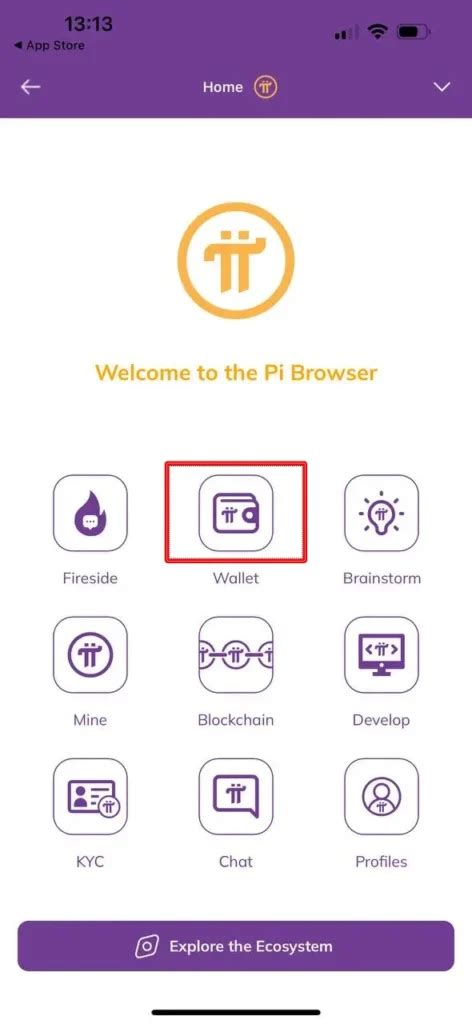 Image result for Wallet Pi Money