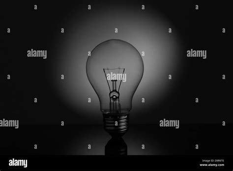 Image result for Light Reflector above Bulb