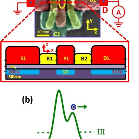 Image result for Electron Microscope False-Color