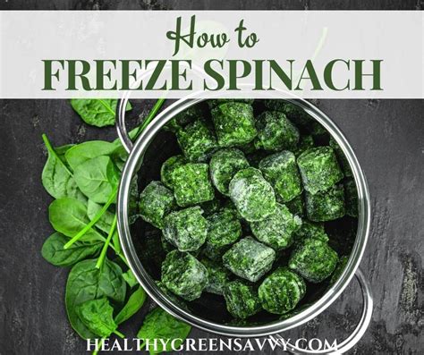 Image result for How to Freeze Spinach Leaves