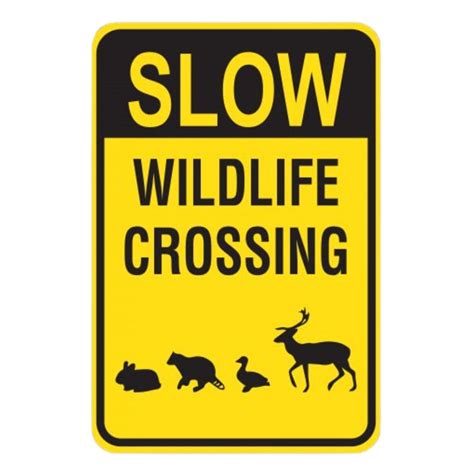Image result for Slow Birds Crossing