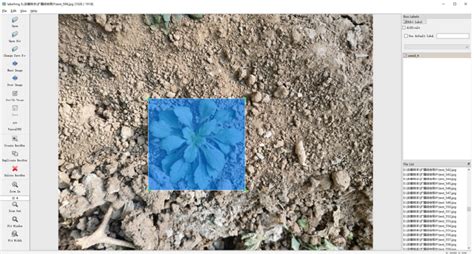 Toradh íomhá ar Pyro Bounding Box