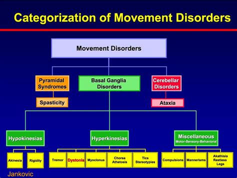 Image result for Types of Movement Disorders