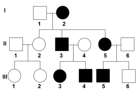 Image result for Types of Pedigree Inheritance