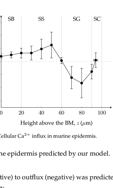 Image result for Calcium Intracellular or Extracellular