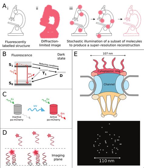 Image result for Molecule Microscope