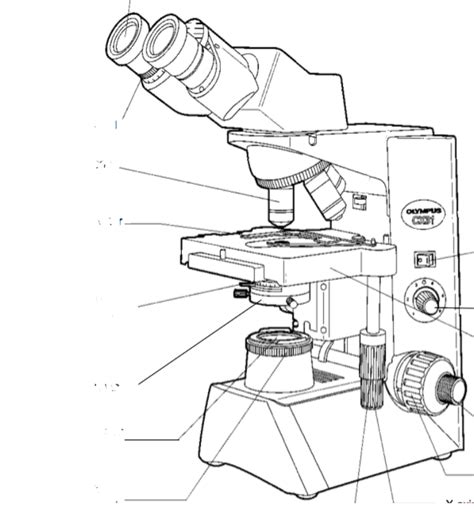 Image result for Compound Microscope Lens Diagram