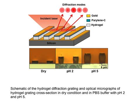 Image result for Hydrogel Sensor Array