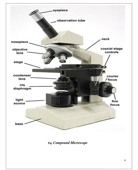 Image result for Compound Microscope Adella Vision