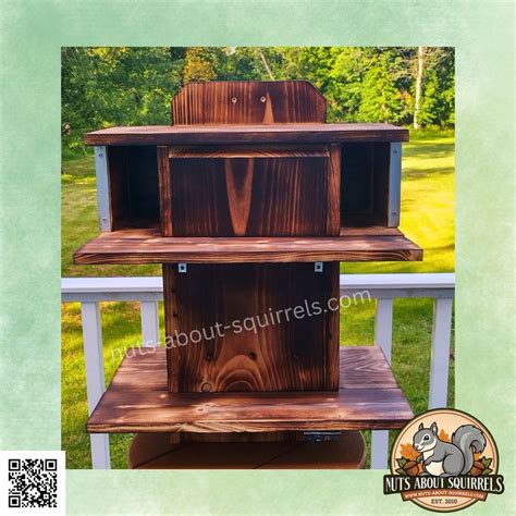 Fox Squirrel Nest Box に対する画像結果