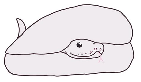 Image result for Ball Python in a Moon Shape Drawing