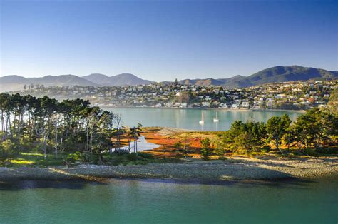 Nelson No Background に対する画像結果