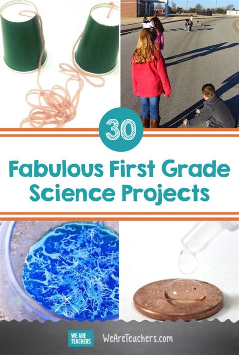 Image result for First Grade Science