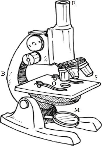 Image result for Compound Microscope Construction