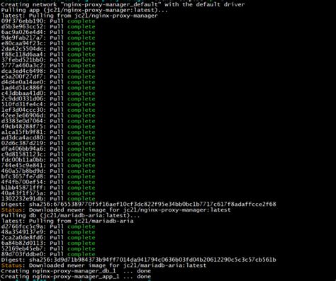 Image result for Nginx Proxy Manager Asus Router