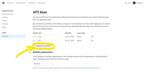 Image result for Openai Key Suna Code