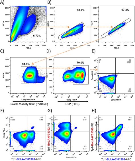 Afbeeldingsresultaten voor Multiparameter Flow Cytometry