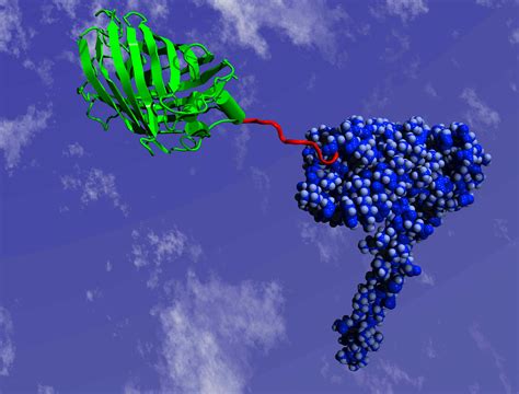 Image result for Biological Systems Examples