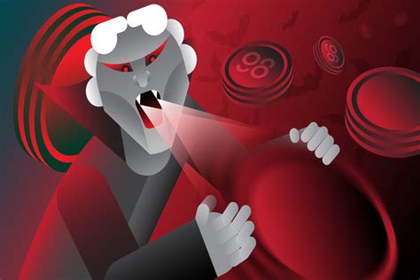 Image result for Vampire Hacks