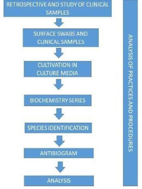 Toradh íomhá ar Flowchart Sample for Step by Step