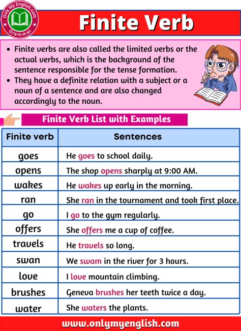 Image result for Finite Verb Examples